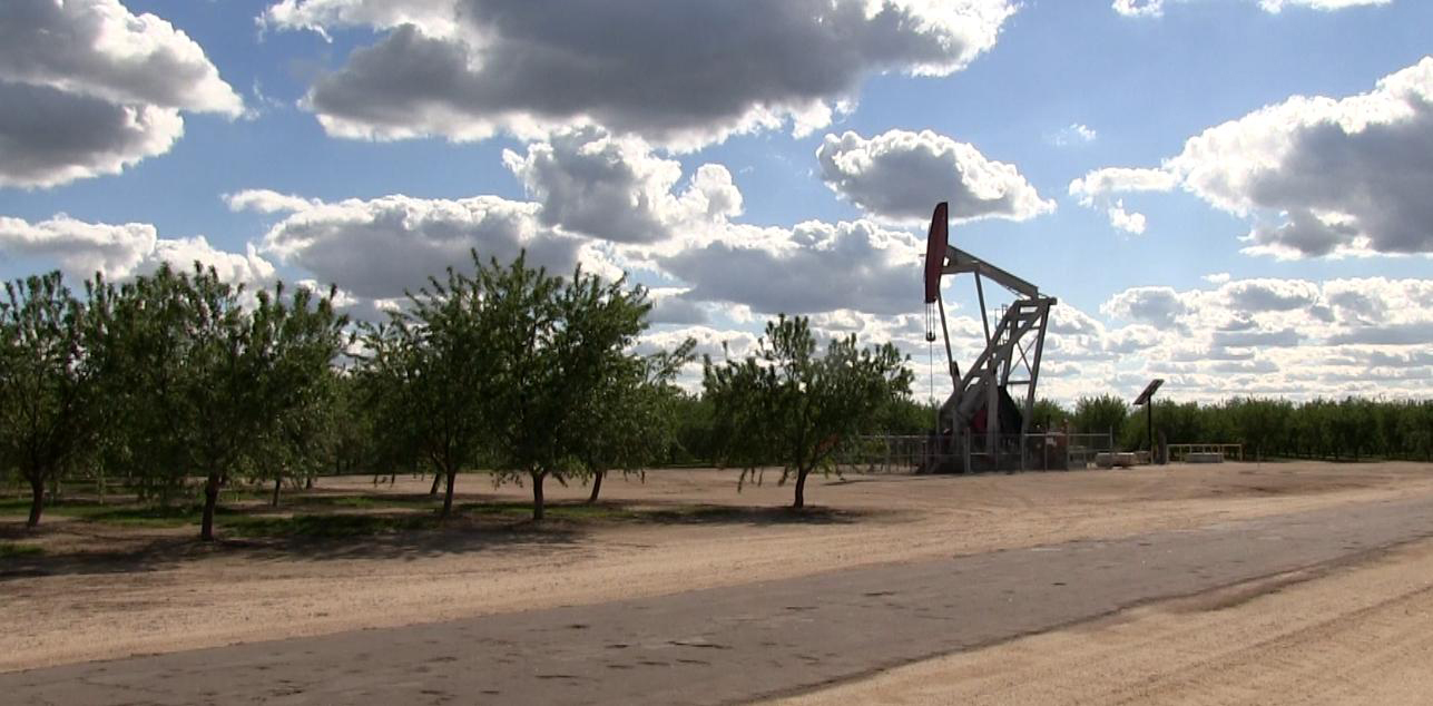 An oil well near an almond farm in Shafter CA