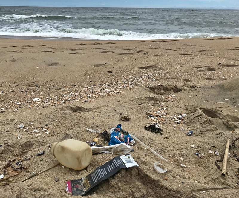 plastic straws on beach image. by jenny vickers chyb..jpg