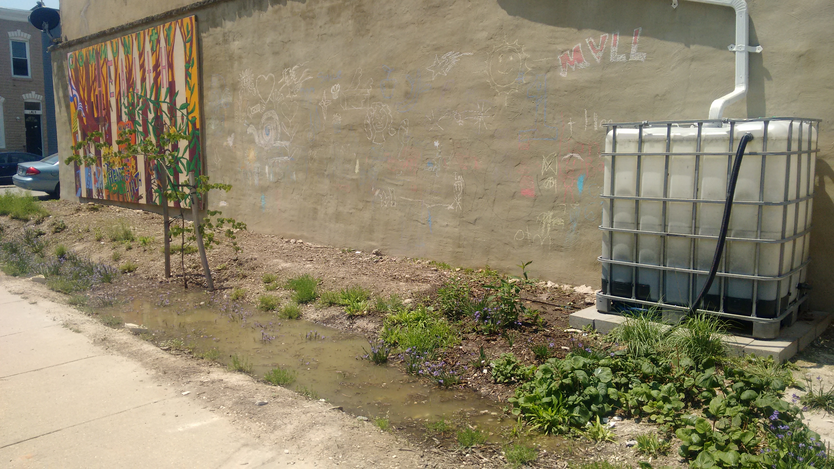 Baltimore&#039;s stormwater remediation fee could be funding green stormwater restoration projects like this rain garden in McElderry Park. Photo by Jennifer Kunze.