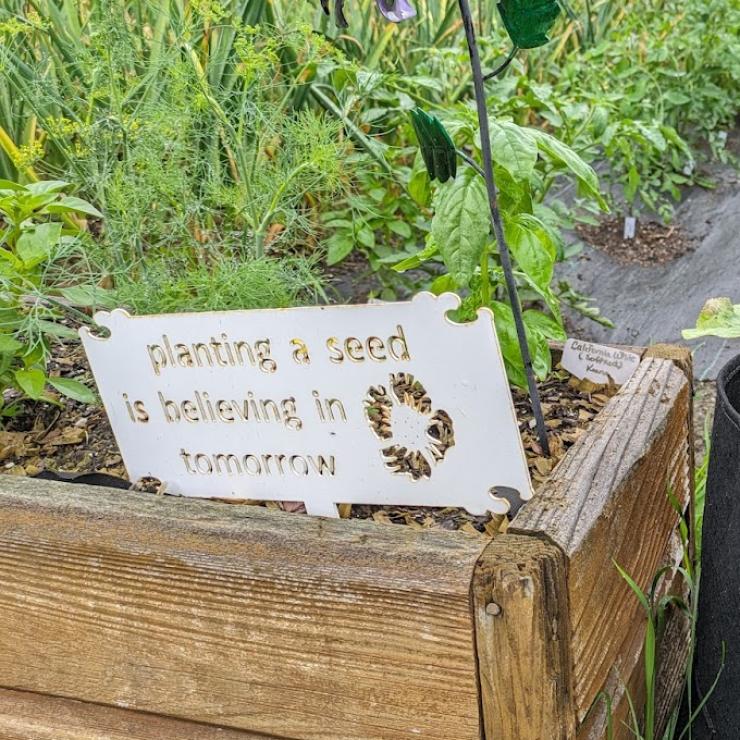 Backyard garden with decorative sign "Planting A Seed Is Believing In Tomorrow"