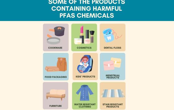 Graphic design that illustrates various products containing PFAS like cookware and stain resistant items