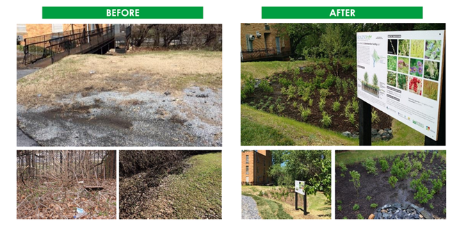 Before and after photos of the rain garden installed at the PNBC Headquarters in Ward 7