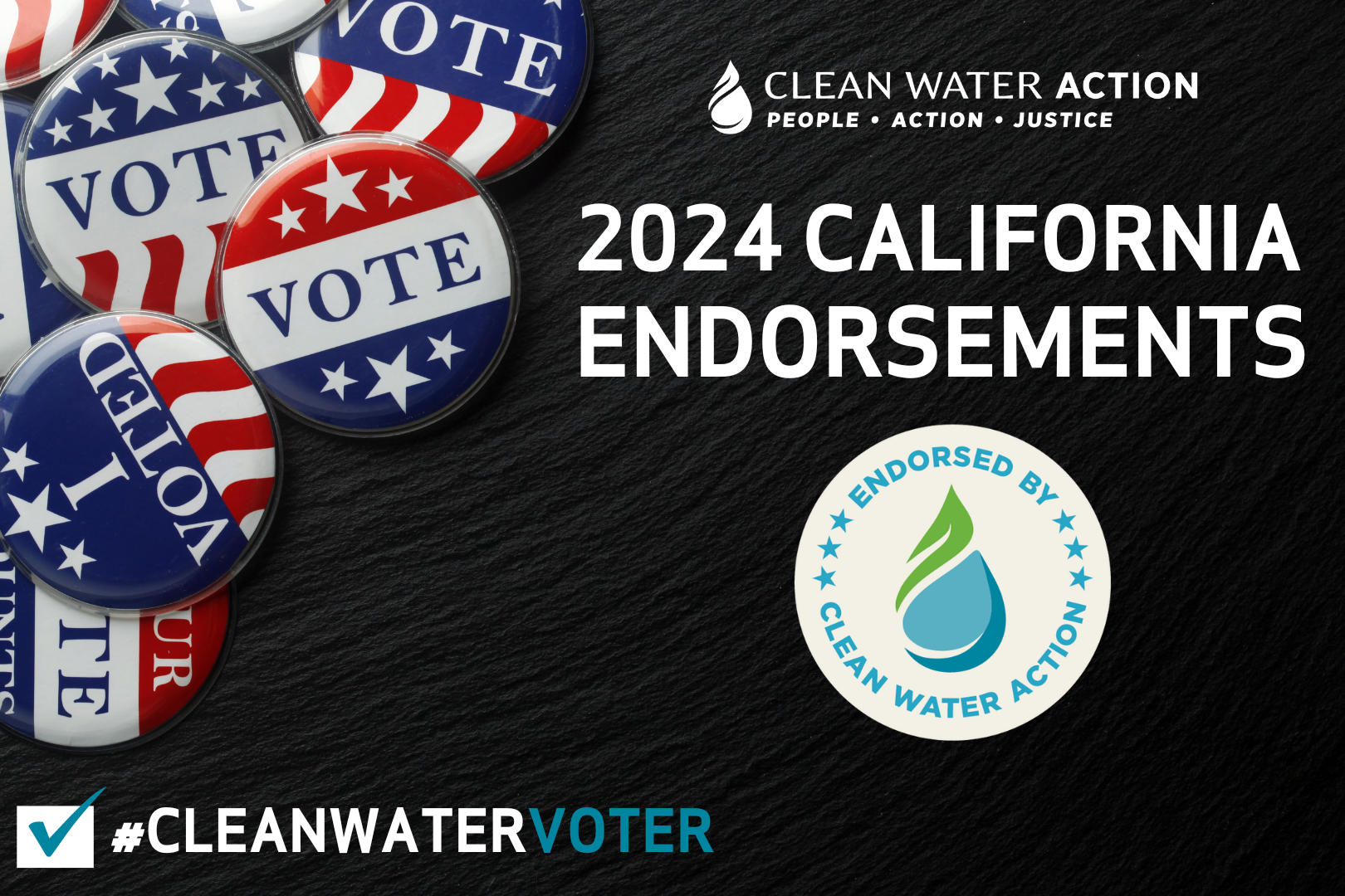 Clean Water Voter | 2024 California Endorsements