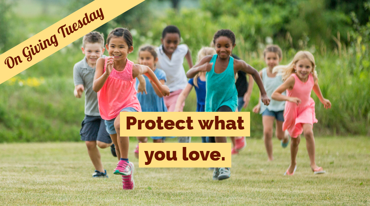On Giving Tuesday, protect what you love - donate now! On Giving Tuesday, protect what you love - donate now!