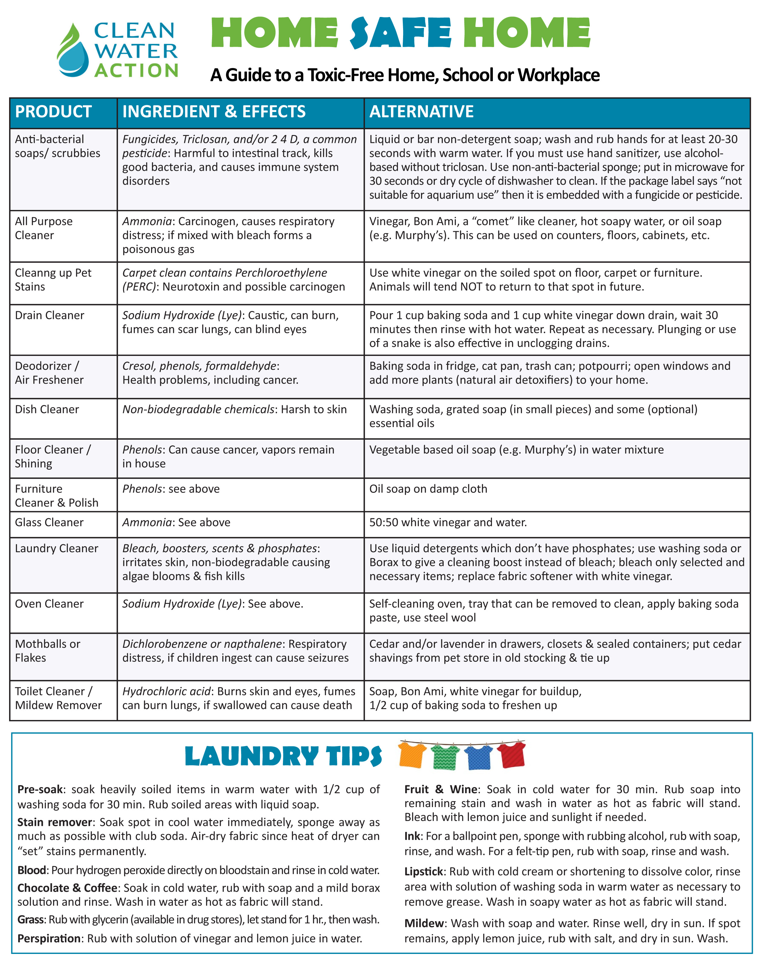 Green Cleaning Guide