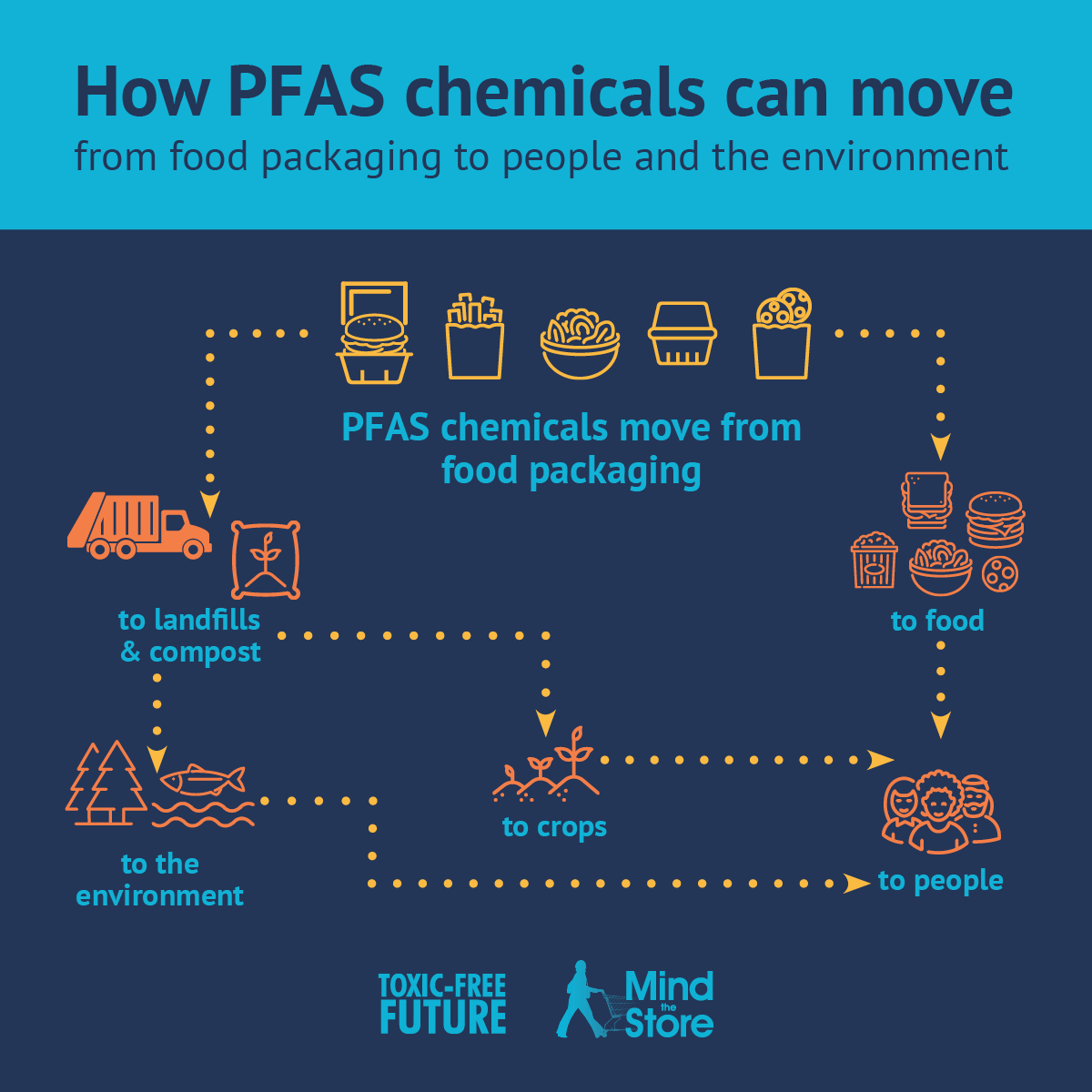 How PFAS move from packaging to people and environment.jpg
