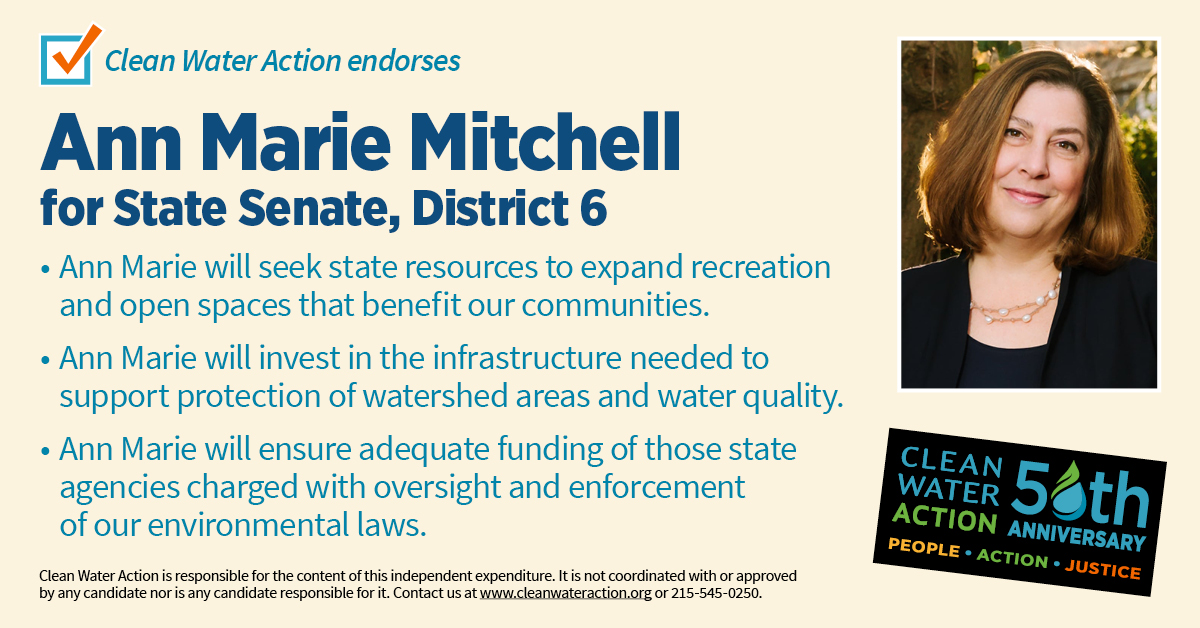 Ann Marie Mitchell for State Senate, District 6 - Clean Water Action Endorsement