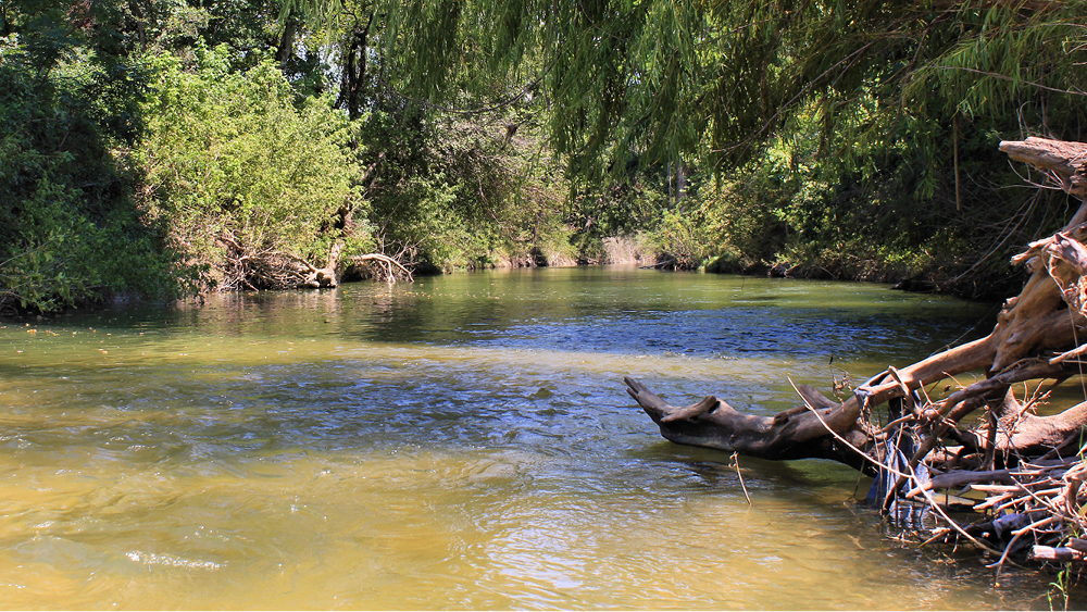 Onion Creek / Photo: Larry D. Moore CC BY-SA 4.0