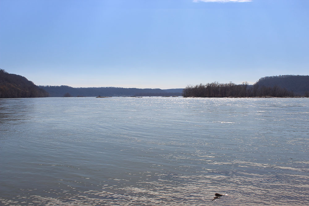 The confluence of the Conestoga River & the Susquehanna River
