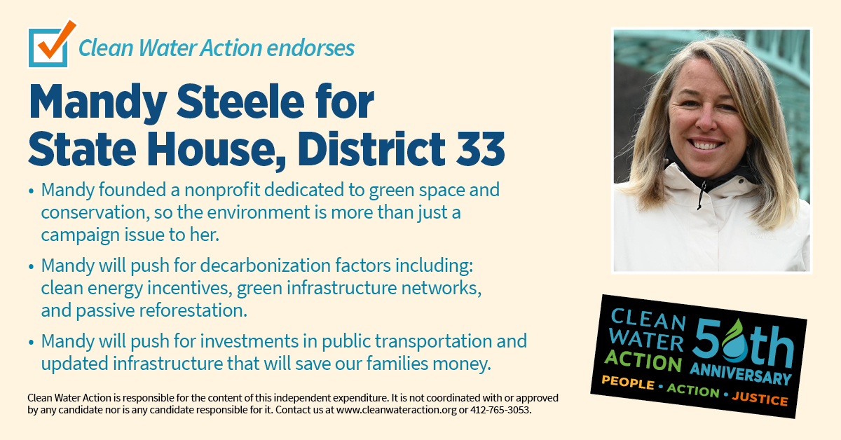 Mandy Steele for State House, District 33