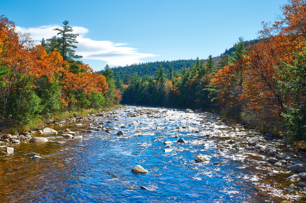 Swift River, White Mountain National Forest. Credit: haveseen / Shutterstock Swift River, White Mountain National Forest. Credit: haveseen / Shutterstock