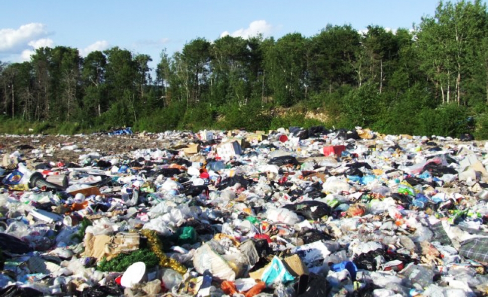 Food Waste Recycling New Jersey Food Waste Recycling New Jersey