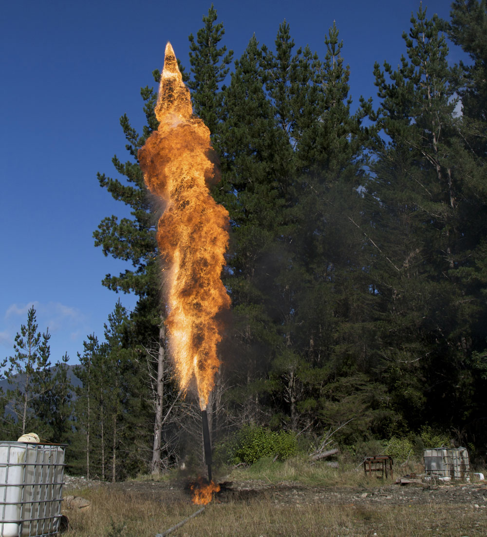 Gas flare near trees. Photo credit: Lakeview Images / Shutterstock