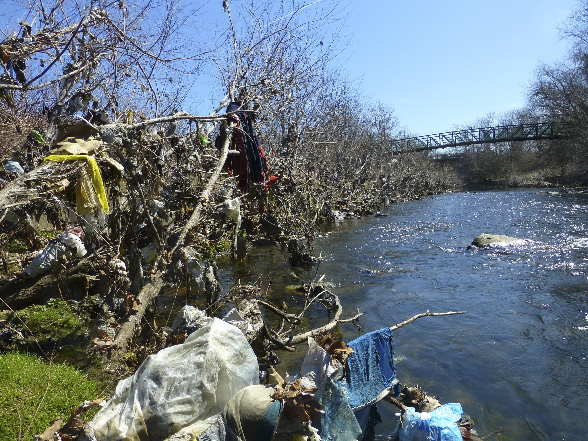 PA_Plastic_bags_Photo by Kelly O'Day