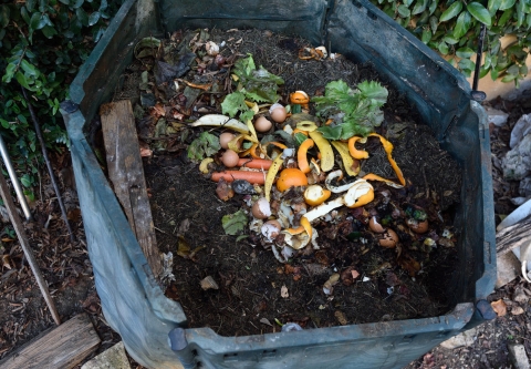 composting-container-istock-curtoicurto.jpg