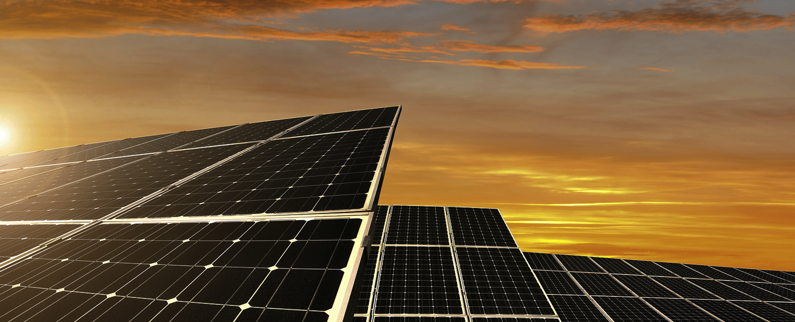 Solar panels, sunset. Photo credit: vencavolrab / iStock Solar panels, sunset. Photo credit: vencavolrab / iStock
