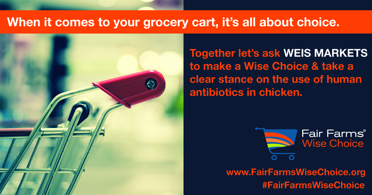 When it comes to your grocery cart, it's all about choice.