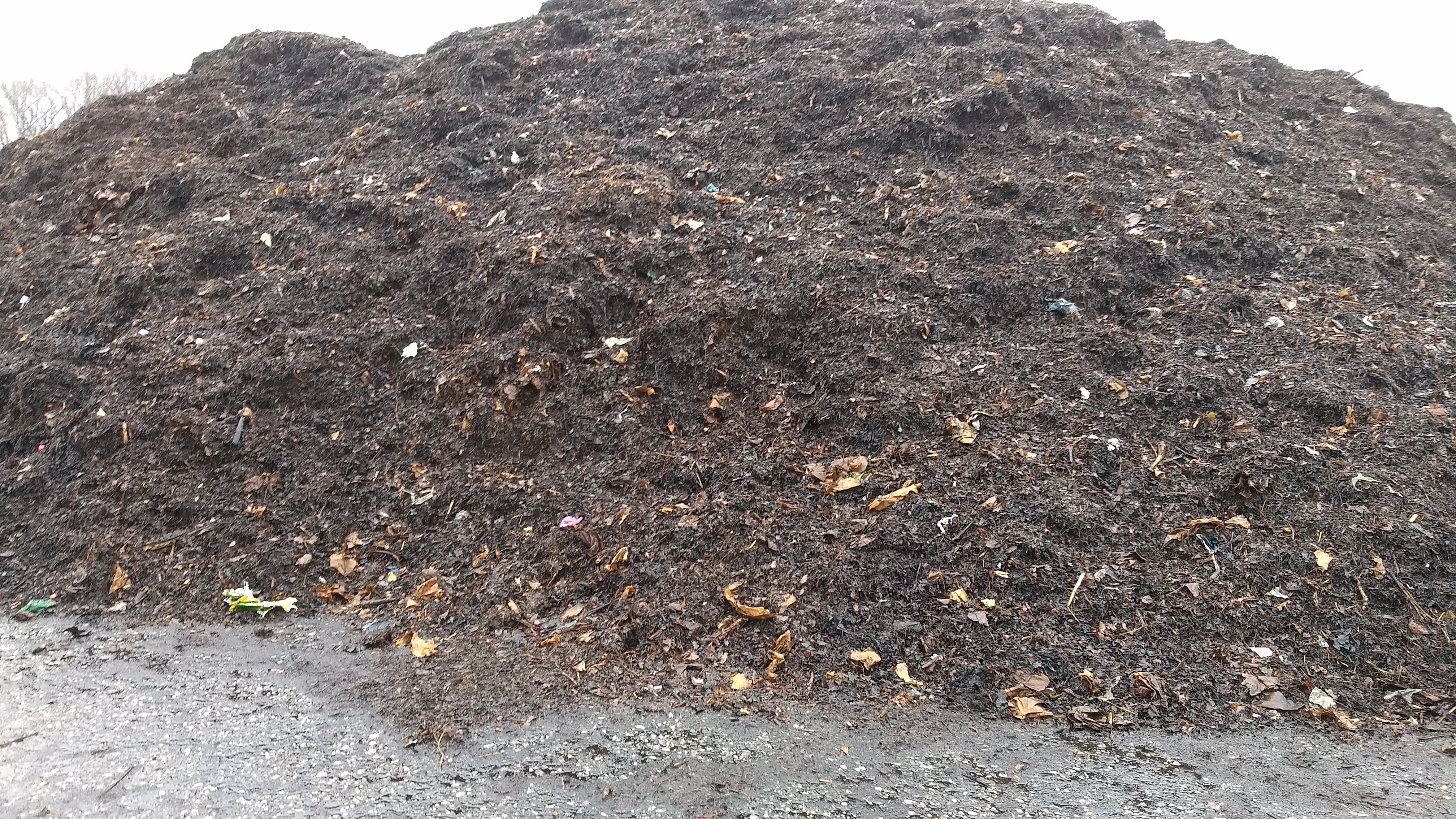 A compost pile at Prince George's County's compost facility.