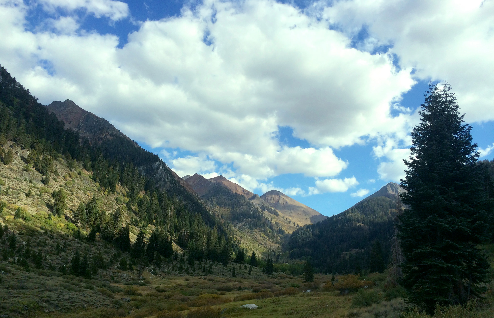 Mineral King Valley / photo: kylwalsh on flickr.com cc