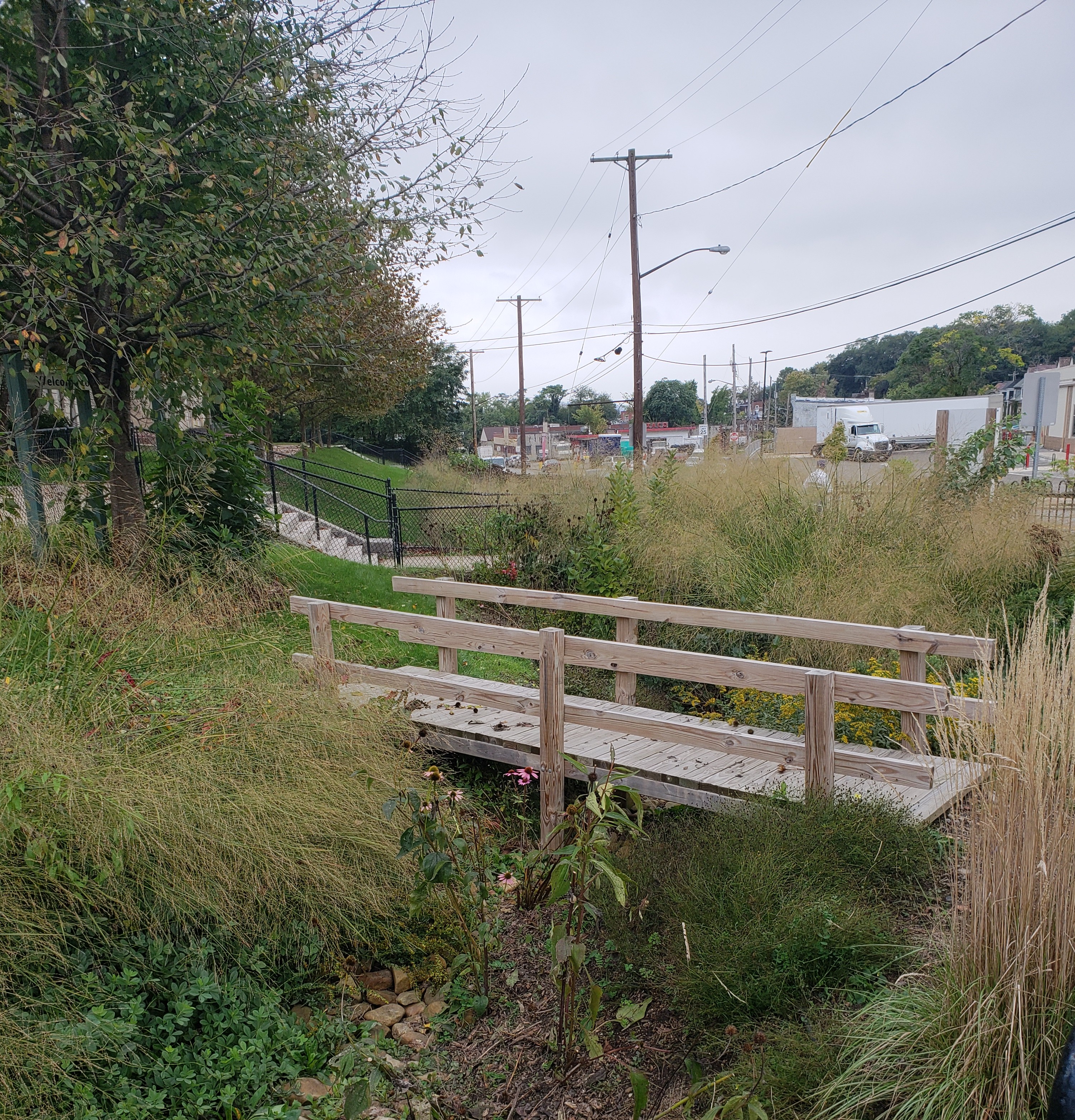 PA_Photo of Negley Run_Clean Water Action_by Madeline Weiss.jpg