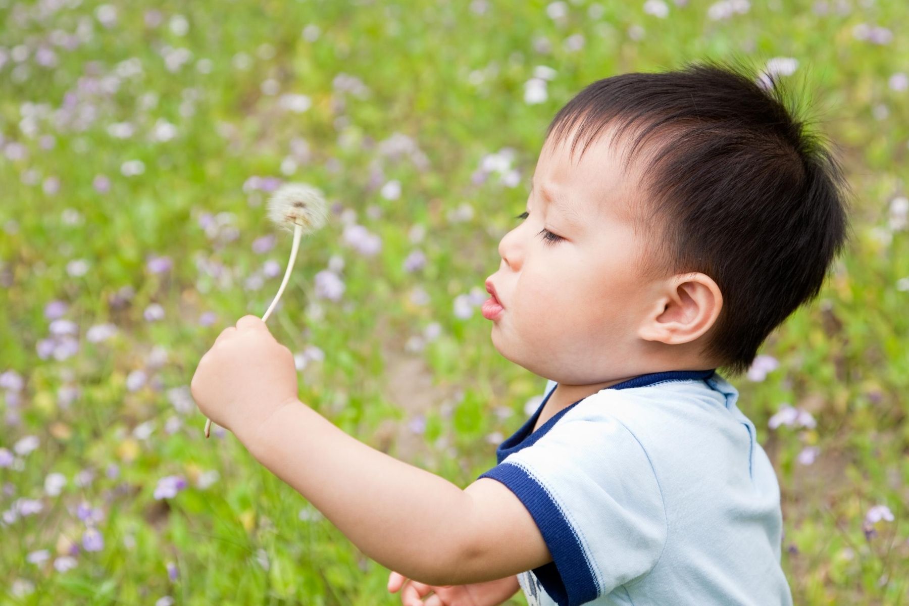 Pesticide_Kid_Dandelion_Source: Canva