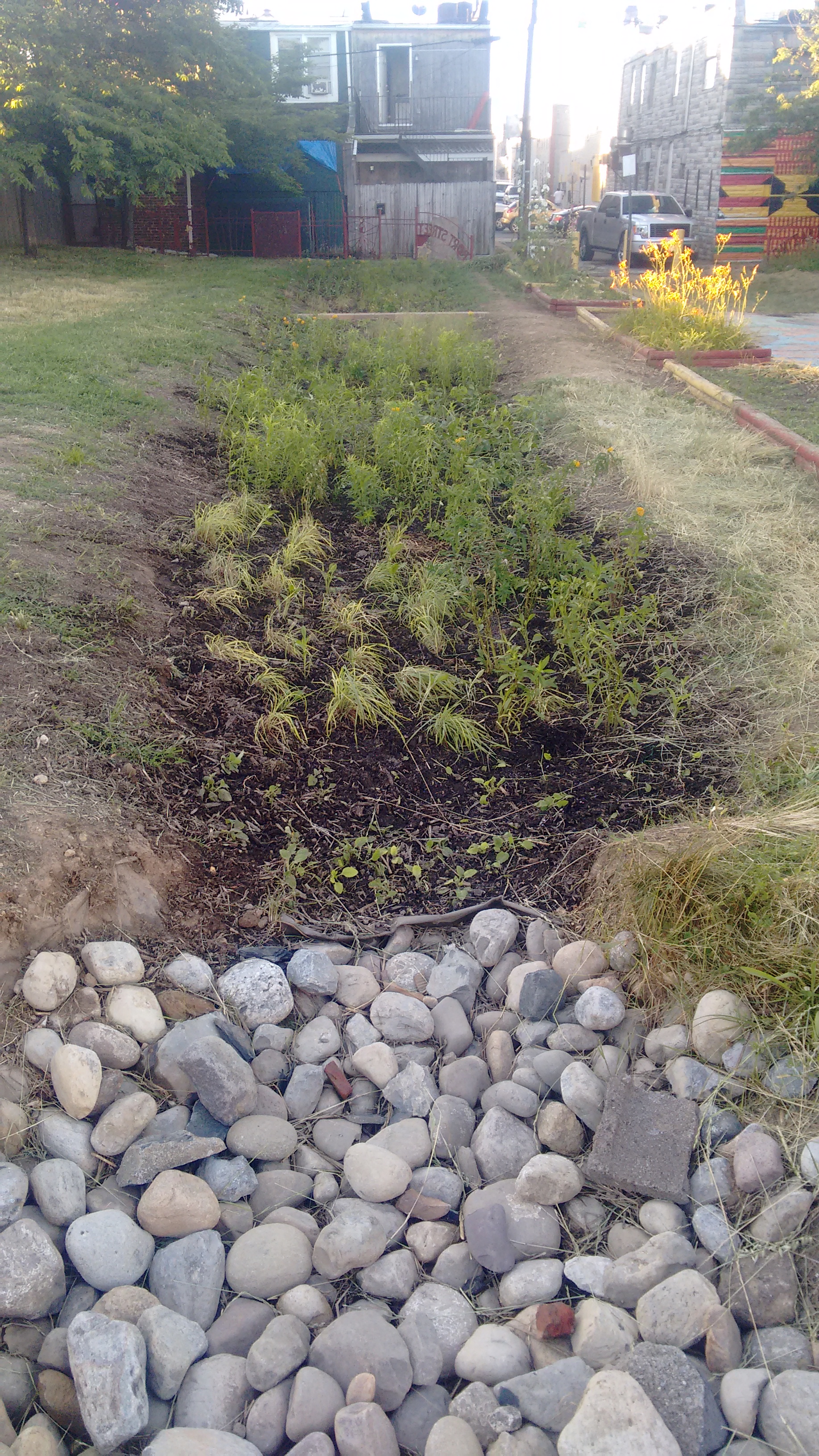 Green infrastructure projects like this rain garden in East Baltimore hold rainwater in place until it can soak into the ground and reduce the total volume of water entering the storm drain system. Photo by Jennifer Kunze. Green infrastructure projects like this rain garden in East Baltimore hold rainwater in place until it can soak into the ground and reduce the total volume of water entering the storm drain system. Photo by Jennifer Kunze.
