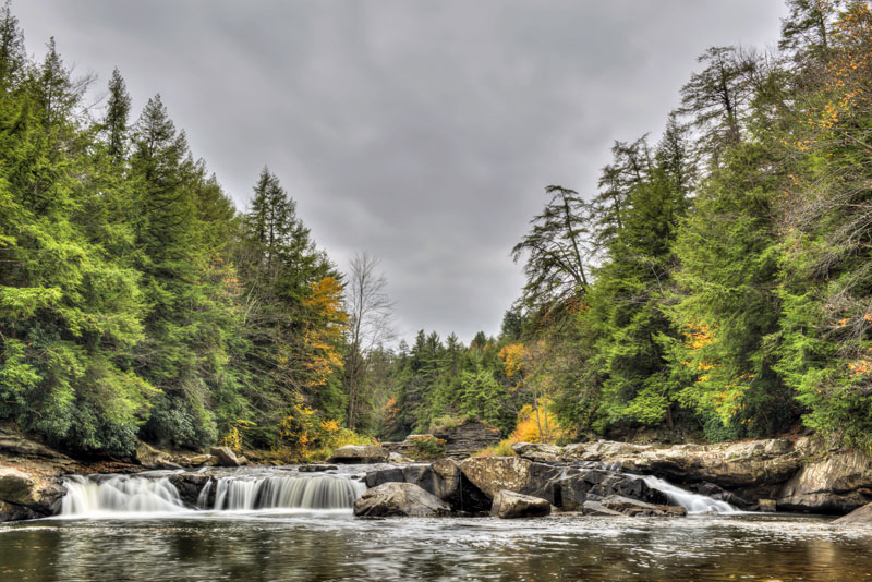 Swallow Falls - western MD