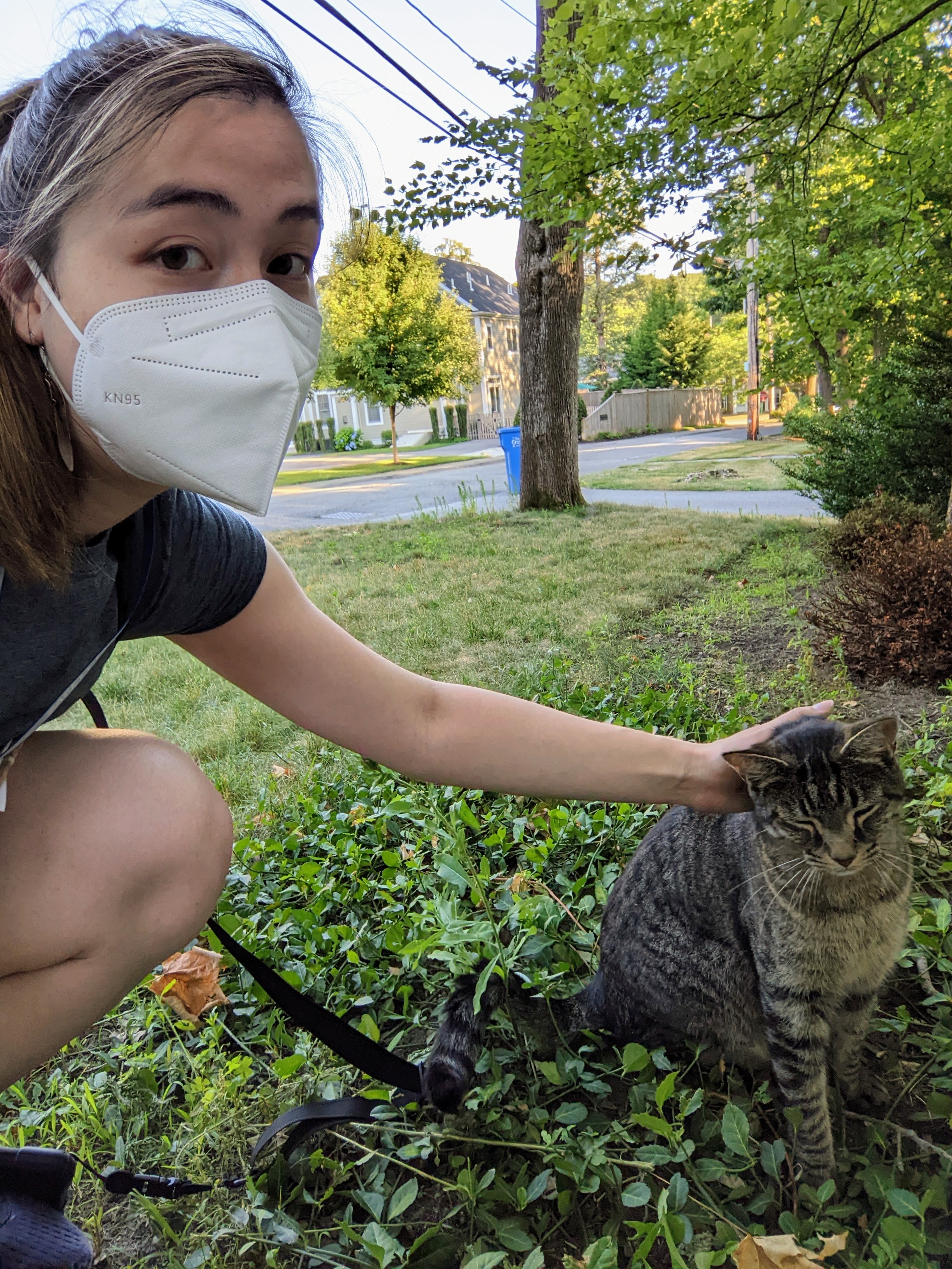 RI-Sofia Yee-Wadsworth-canvassing image with cat RI-Sofia Yee-Wadsworth-canvassing image with cat