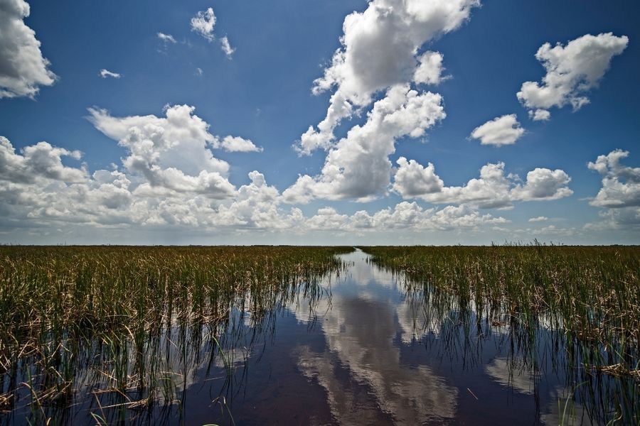 Image of wetlands Image of wetlands