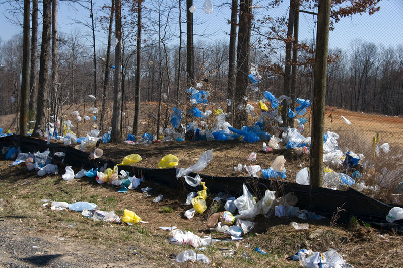 Plastic bags littering trees