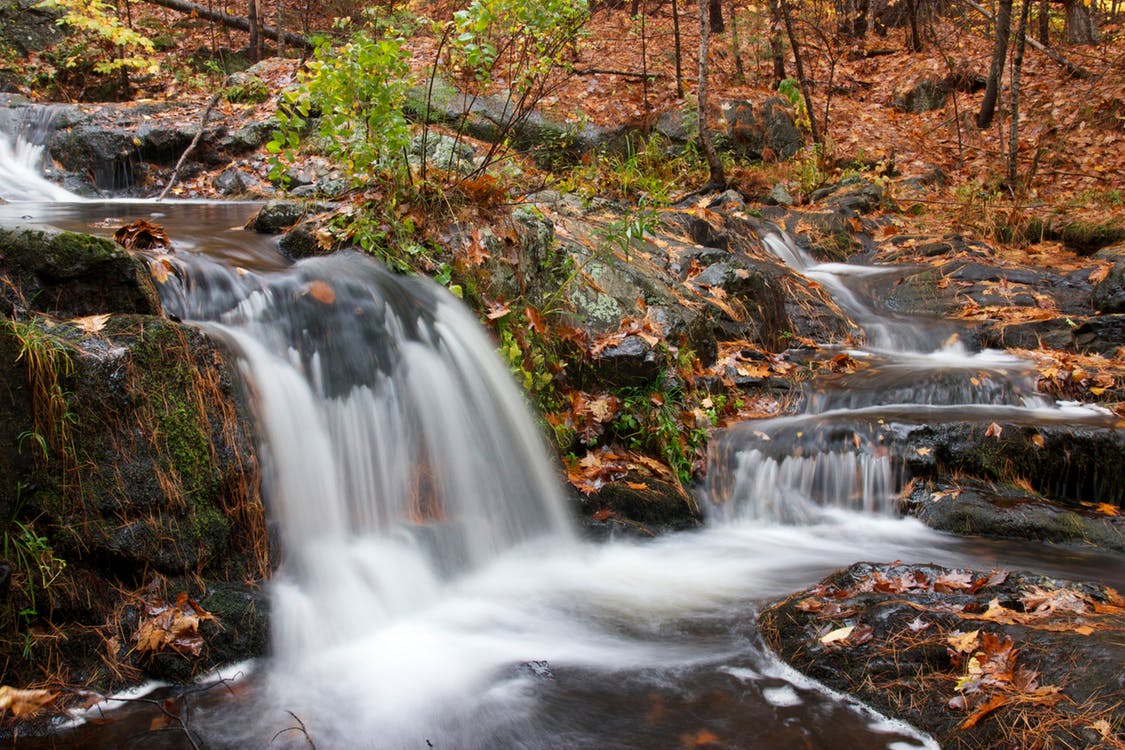 Small water fall, in a forest Small water fall, in a forest