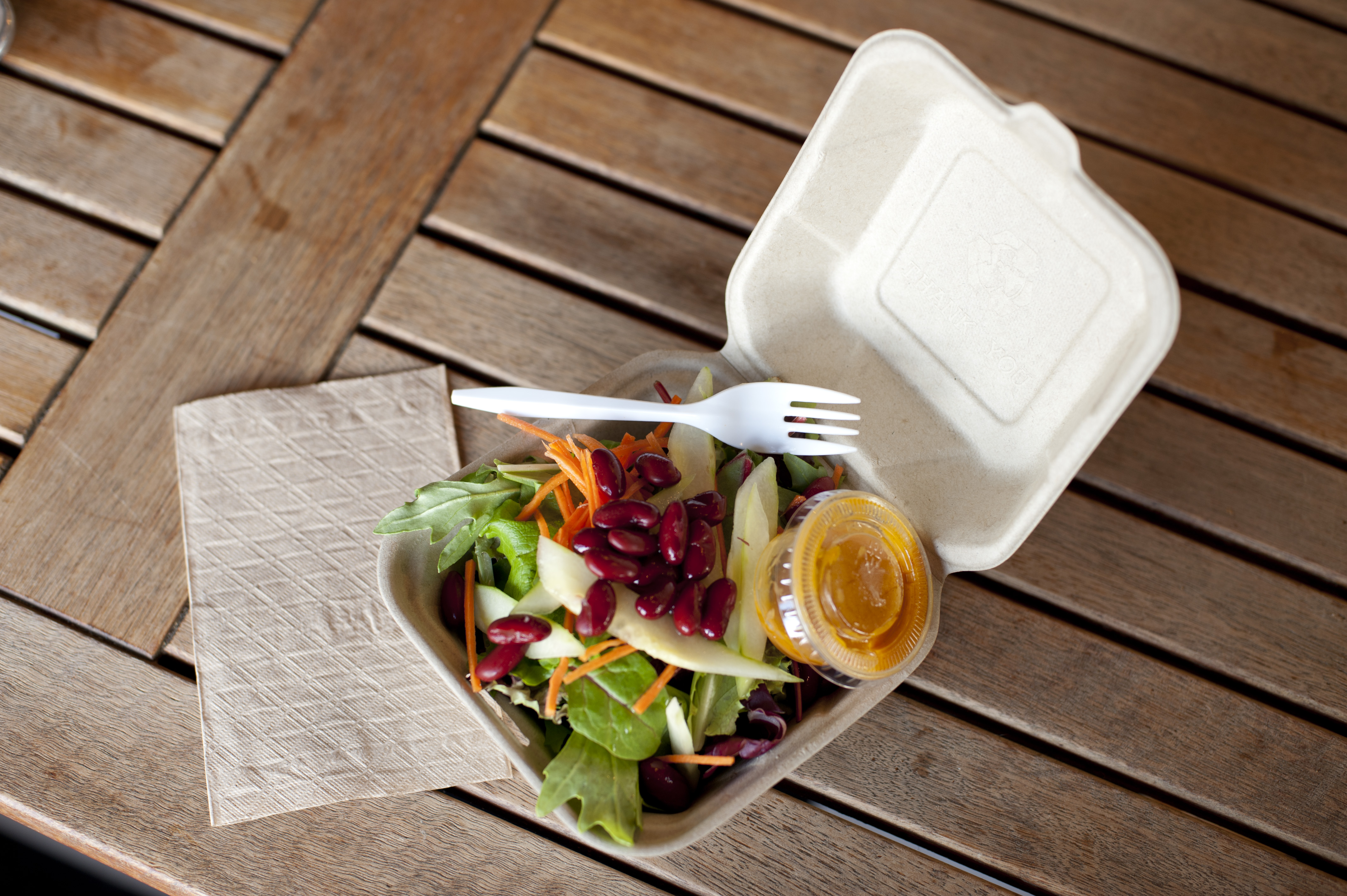 lunch in a disposable container