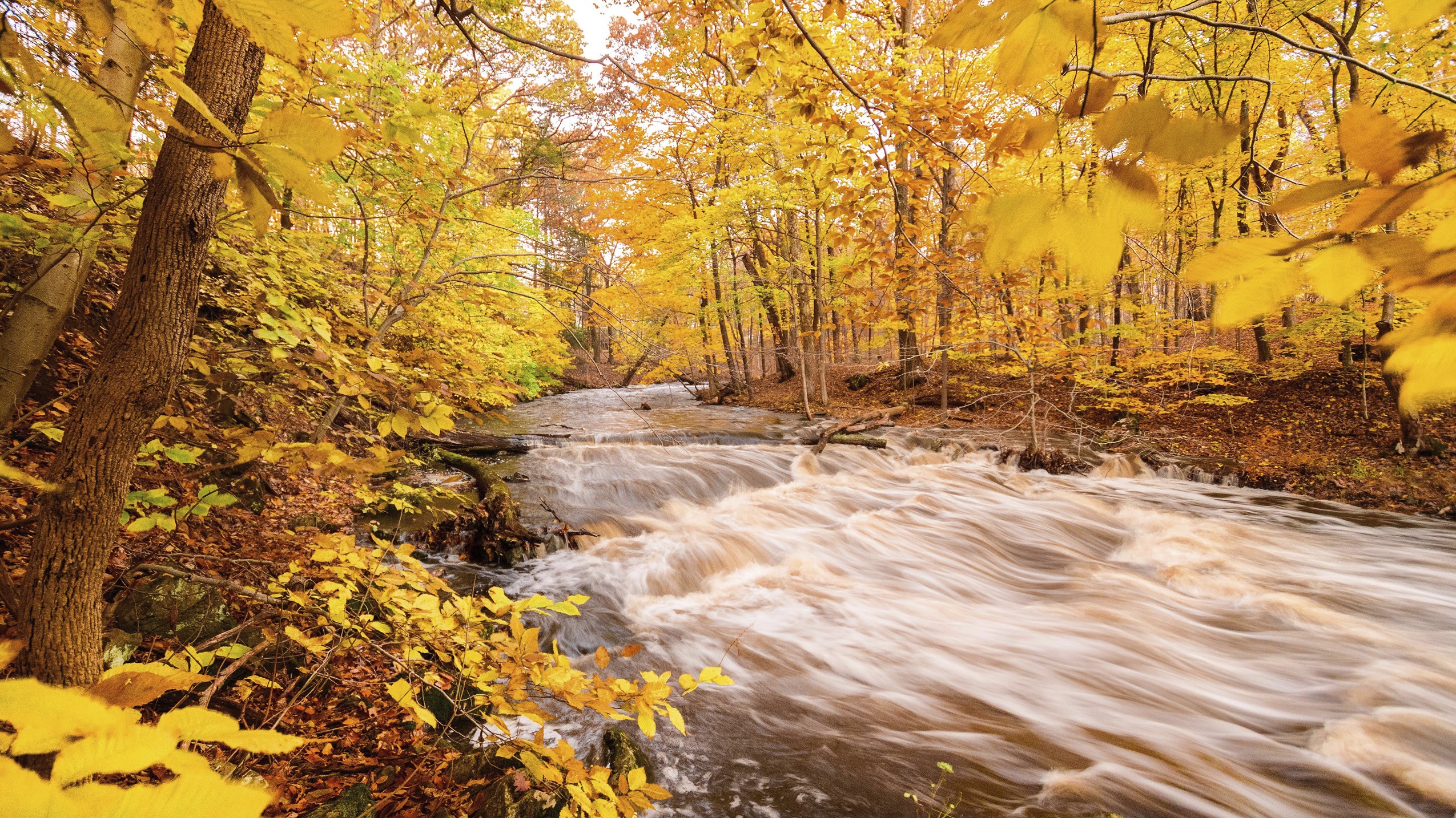 Fall stream