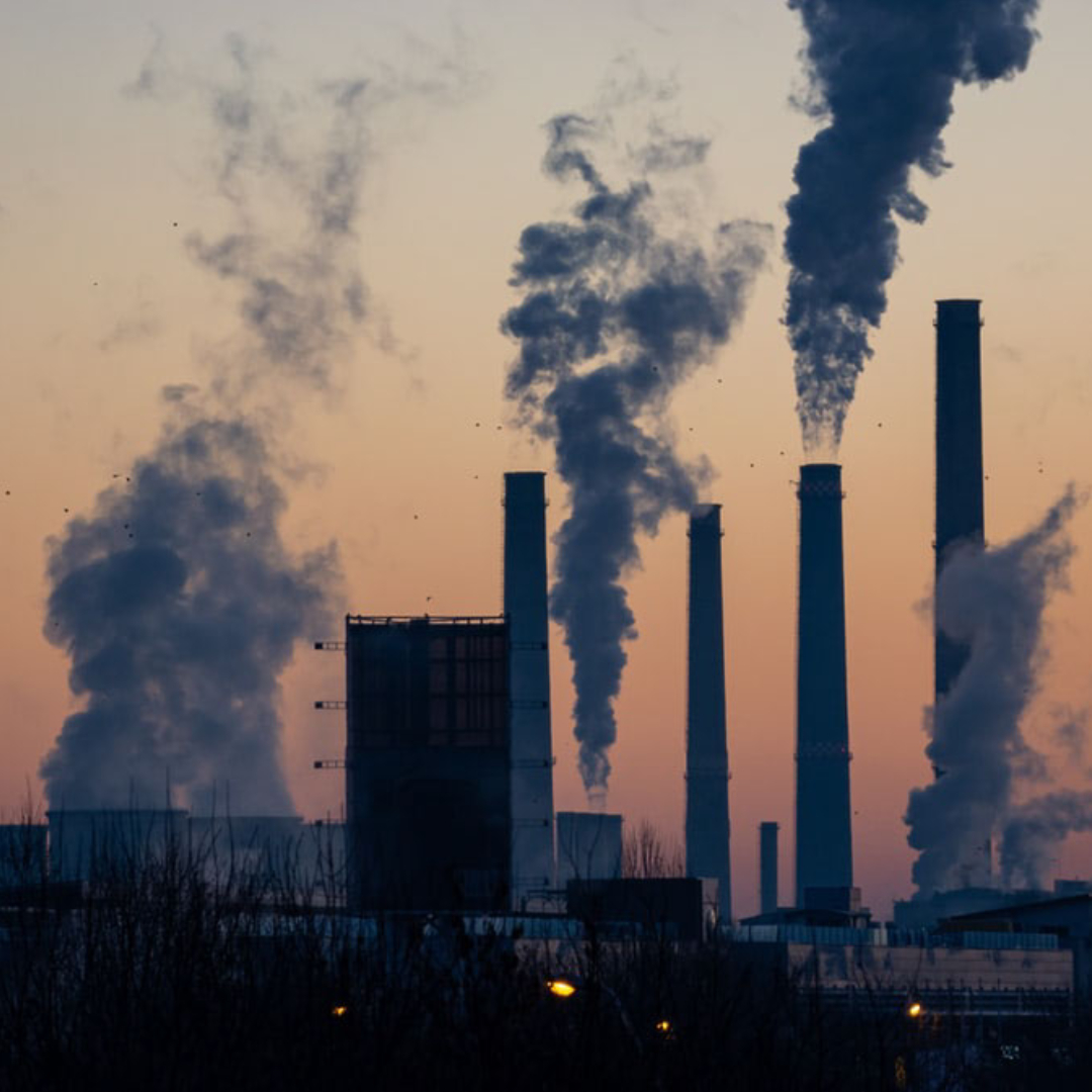 New Jersey Currents Fall/Winter 2020 Clean Water Action