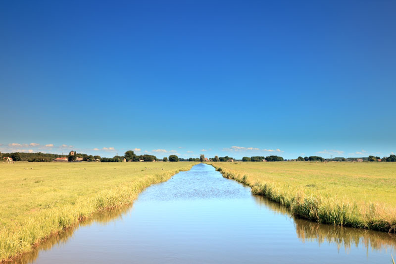 Stream in a yellow meadow