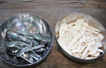 disposable spoons and resusable spoons