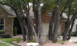 Xeriscape Desert example #2 Xeriscape Desert example #2